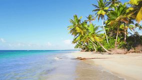 Maldivian palm beach and sea on a beautiful sunny day. Sea waves on the sand. Palm paradise on the sandy coast. Natural landscape of the Indian Ocean. Travel to a tropical island.