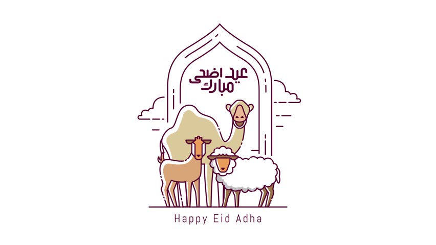 Animated line draw sheep, camel, goat. Muslim holiday the sacrifice an animal to God, Eid al Adha greeting animation concept