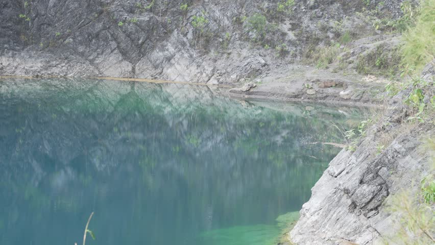 pine tree forest and blue lake pond. Tranquil nature view