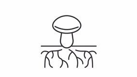 Animated mycelium linear icon. Growing roots line animation. Mushroom farm. Mycorrhizal network. Seamless loop HD video with alpha channel on transparent background. Outline motion graphic animation - Powered by Shutterstock - Get 15% off with code: PIKWIZARD15