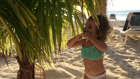 Child playing with palm tree on sand beach on Aruba island in Caribbean Sea. Beautiful light. 