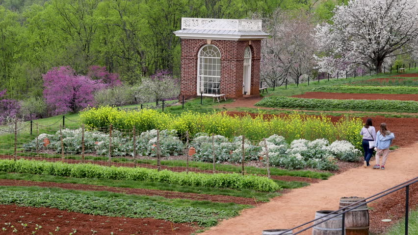 Colonial historic vegetable garden plantation Virginia tourists. Vacation destination for tourism. Farmed, land and buildings maintained by slaves to wealthy land owner. Founding Father US President.