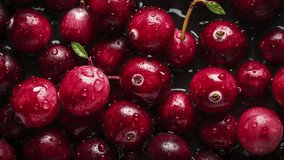 Experience the Vibrant Freshness with 4K Cranberry Footage