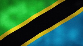 Waving Flag of Tanzania video background with vintage vignette overlay effect. Realistic Slow Motion