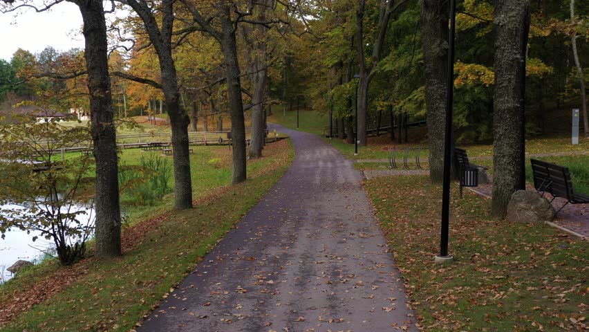 Park pathway in dusk time in autumn season, aerial dolly backward view