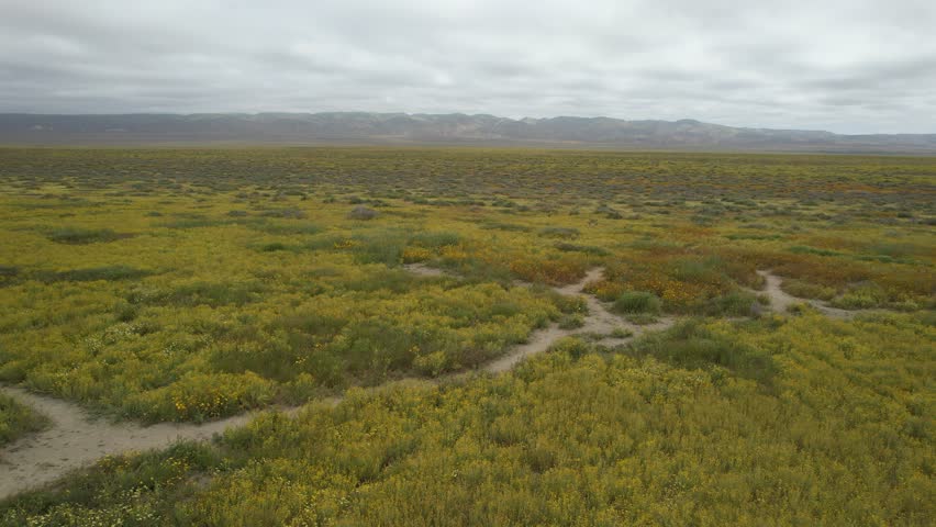 Aerial video of wildflowers at Carrizo Plain National Monument and Soda lake