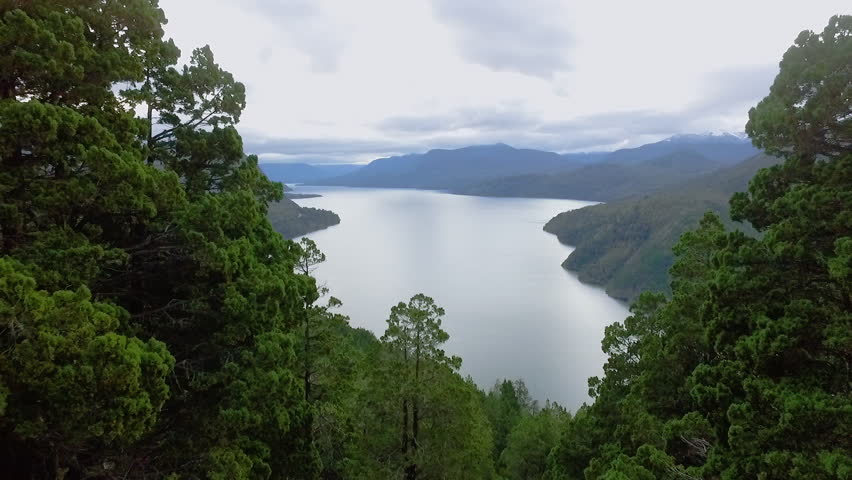 Aerial view of Lake Lacar in San Martin de los Andes, Patagonia Argentina. View of the green forest and Andes mountains at nightfall. Royalty-Free Stock Footage #1103358643