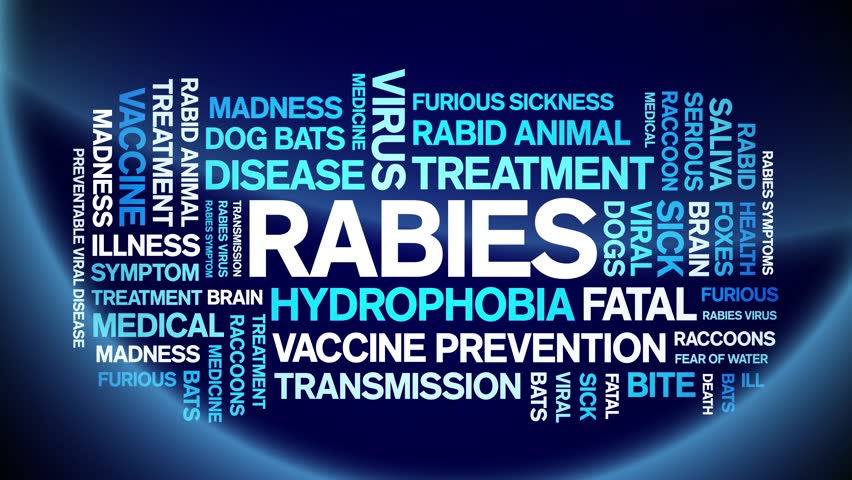 Rabies animated tag word cloud,text design animation kinetic typography seamless loop. 