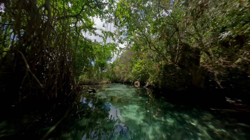 FPV drone shot low through jungle and over a shallow, blue river, on a sunny day Royalty-Free Stock Footage #1103375043