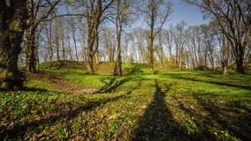 Time lapse of tranquil scene of spring season field with grass and yellow flowers with shadows of trees in background moving on meadow