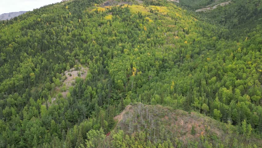 Remote Adventure: Denali National Park