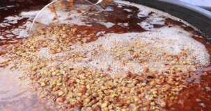 process of fermentation and quality inspection of cofee beans with water system.4k video