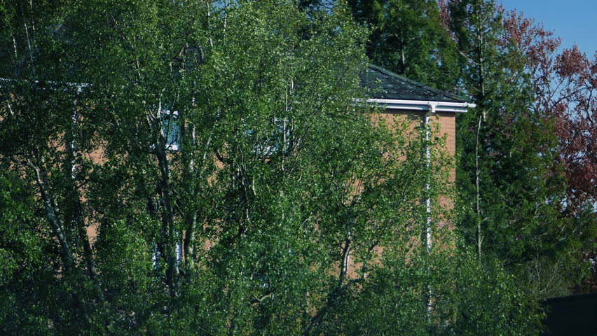 House Behind Trees On Breezy Day