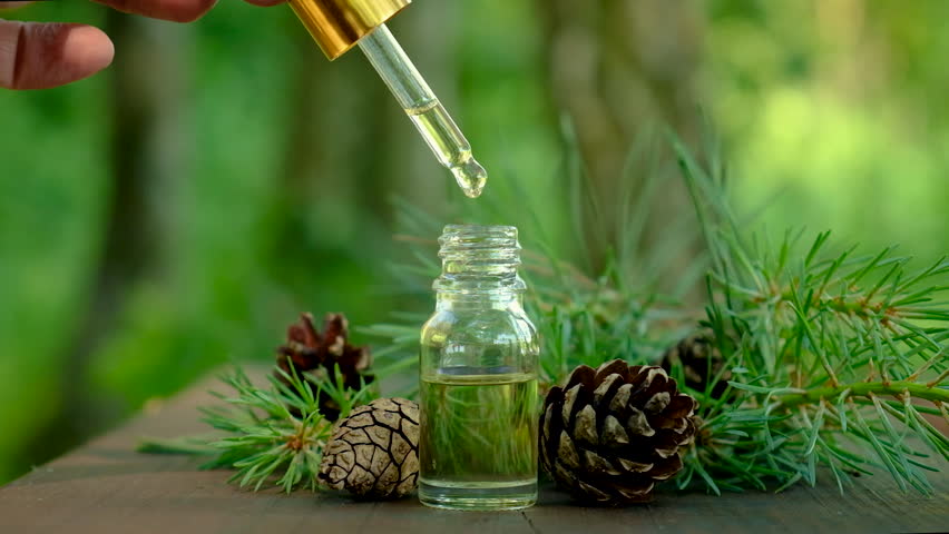 Cosmetics in a bottle on Moss. Natural cosmetic. Green. Royalty-Free Stock Footage #1103420811