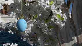 Close-up view of blue Easter egg decoration hanging on tree with white flowers on city square in a sunny day. Real time video. Soft focus. Religious holidays theme.