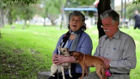 Married couple together with their dogs sit in the neighborhood park at noon, horizontal video