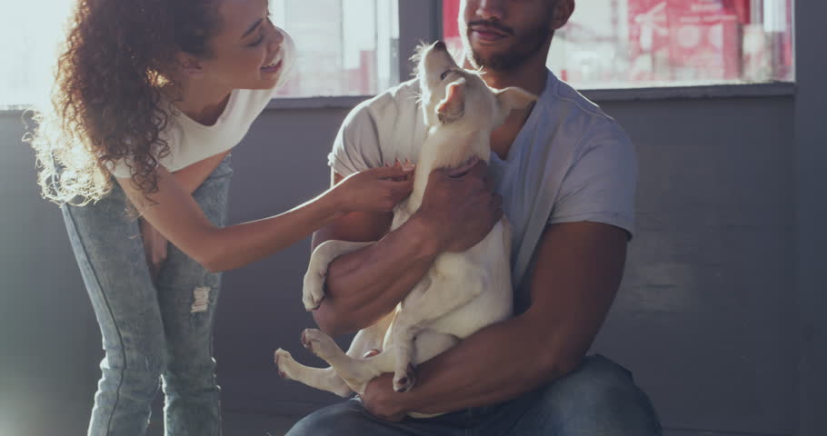 Adoption, animal shelter and a couple loving a dog at a rescue center for charity or welfare together. Pet, love or empathy with a man and woman adopting a young puppy from a community kennel Royalty-Free Stock Footage #1103440229