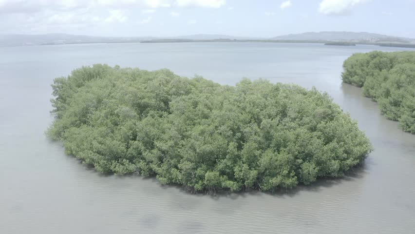 Embrace the allure of a secluded Caribbean island with this striking drone view, showcasing a tiny gem nestled in azure seas. Lose yourself in the serenity of this enchanting, paradisiacal haven
