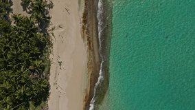 Playa Rincon beach and tropical sea at Las Galeras, Dominican Republic. Aerial top-down forward directly above