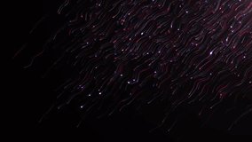 Digital colorful line particles technologic background, light glowing particles, elegant movement of line particles, 4k video background. 3d render