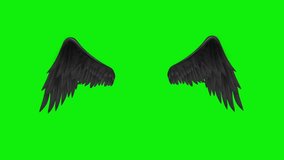 Real Angel wings green screen pack of three video , flying wings green screen , feather angel wings , black angel wings, angel green screen ,green screen background
Video Formats