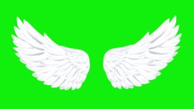 Real Angel wings green screen pack of three video , flying wings green screen , feather angel wings , white angel wings, angel green screen ,green screen background
Video Formats