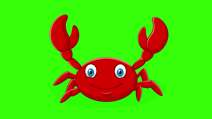 Cartoon baby crab walk green screen animation video Royalty-Free Stock Footage #1103459191