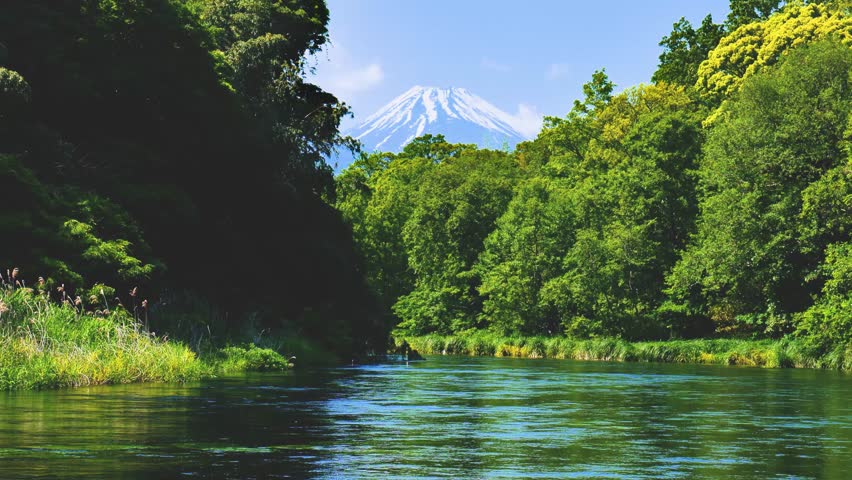 Kakita River and Mount Fuji, famous for its clear water flowing through Shimizu-cho, Sunto-gun, Shizuoka Prefecture.
