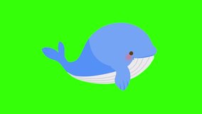 Cartoon blue whale cycle animation side view with the green screen background