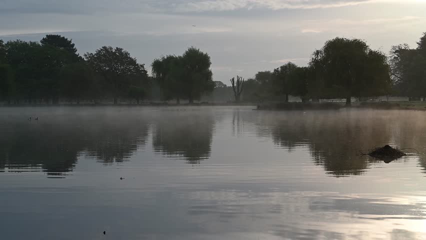 Hovering mist over ponds near Heathrow flight path Royalty-Free Stock Footage #1103462469
