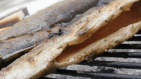 Trout fish on barbecue slow char-coal grilling 4K 2160p 30fps UltraHD footage - Slow grilled trout fish on bbq 4K 3840X2160 UHD video