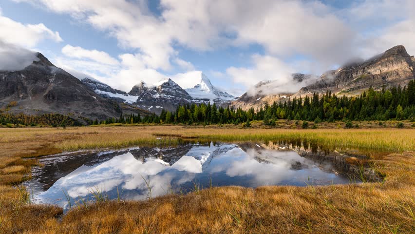 Time lapse scenery of Mount Assiniboine with pond reflection on golden meadow in autumn forest at Assiniboine provincial park, BC, Canada