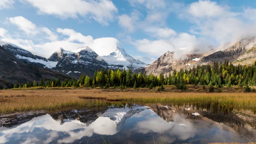 Time lapse scenery of Mount Assiniboine with pond reflection on golden meadow in autumn forest at Assiniboine provincial park, BC, Canada