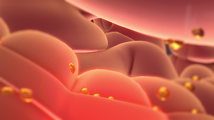 Animation body fat cells decreasing increasing anatomy | Shutterstock HD Video #1103474273