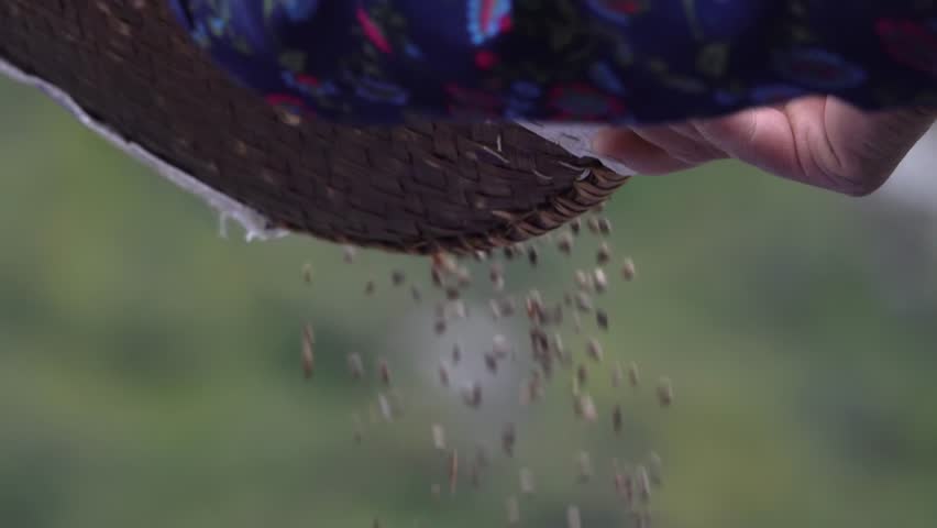 Buckwheat sifting in air from woven cultural plate, slow motion
Slow motion shot from Nepal,2023
