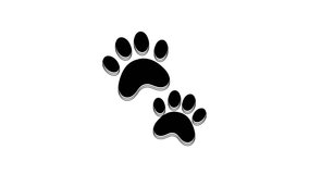 Black Paw print icon isolated on white background. Dog or cat paw print. Animal track. 4K Video motion graphic animation.