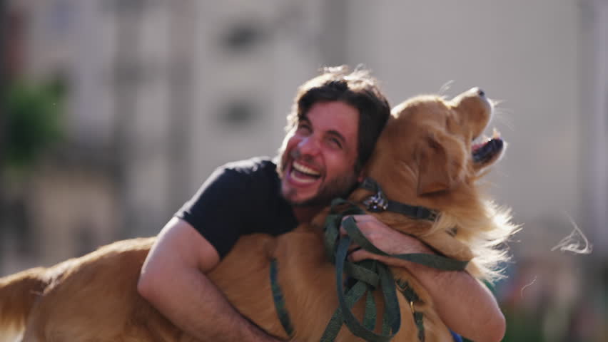 Happy dog owner laughing and smiling while hugging his Golden Retriever dog outside at park Royalty-Free Stock Footage #1103494867