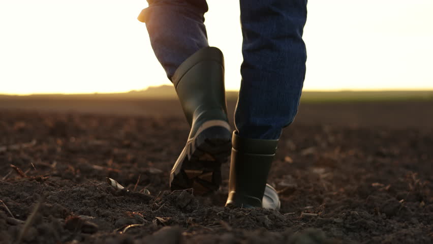 Agriculture. Cropped shot of back view businessman farmer in rubber boots walks along plowed field with digital tablet. Agronomist checking and analyses fertile soil on sunrise. Agribusiness Royalty-Free Stock Footage #1103497093