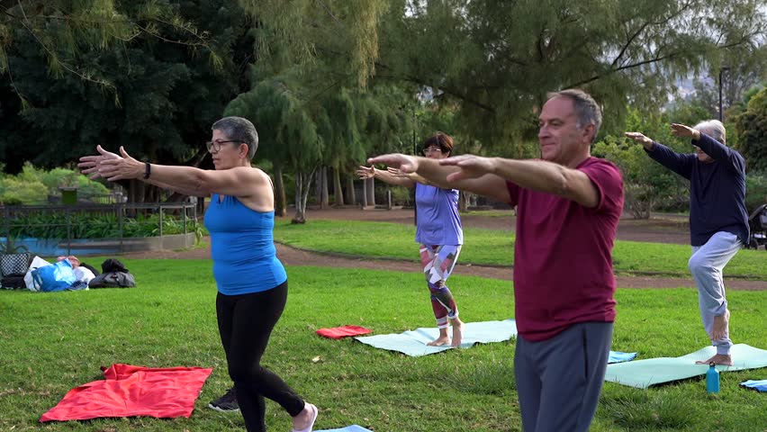 Multiracial senior people doing yoga exercise at city park - Joyful elderly friends and healthy lifestyle concept Royalty-Free Stock Footage #1103497283