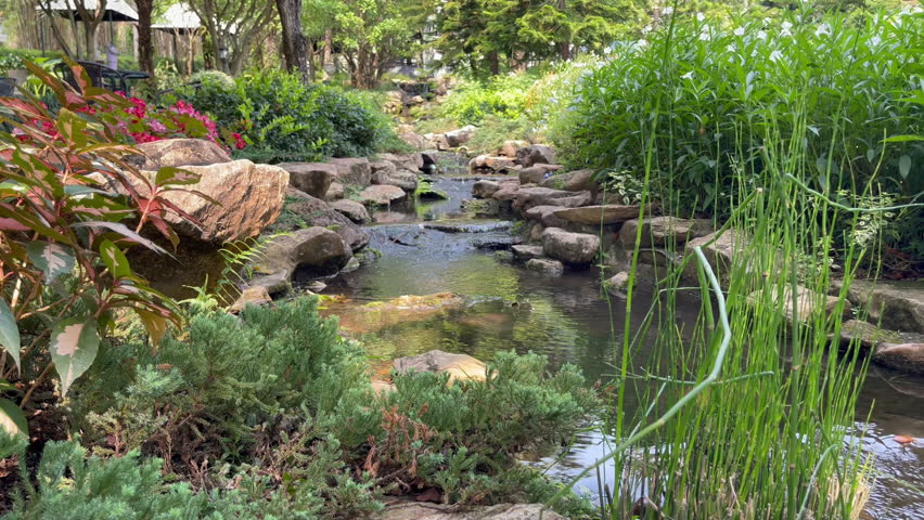 Stream flowing in the garden, stock video