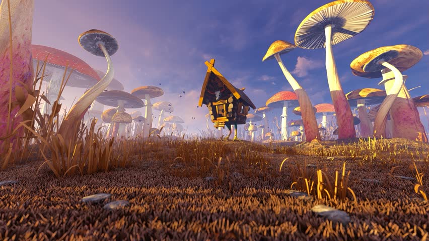 Fairy house in the mushroom forest