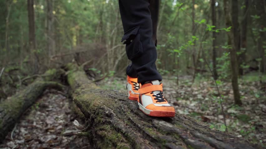 baby boy playing in the forest park. close-up child feet walking on a fallen tree log. happy family kid dream concept. a child in sneakers walks on a fallen tree in lifestyle park Royalty-Free Stock Footage #1103507305