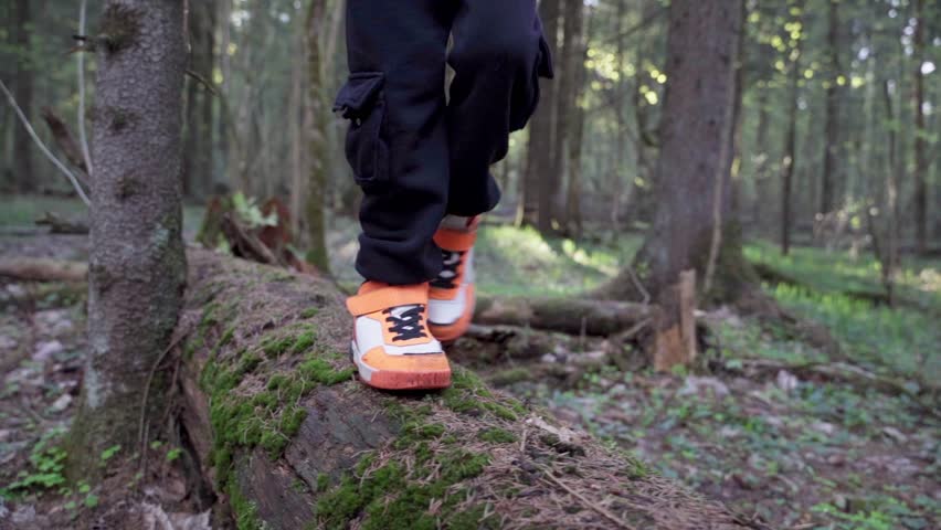 baby boy playing in the forest park. close-up child feet walking on a fallen tree log. happy family kid dream concept. a child in sneakers walks on a fallen tree in lifestyle park Royalty-Free Stock Footage #1103507307