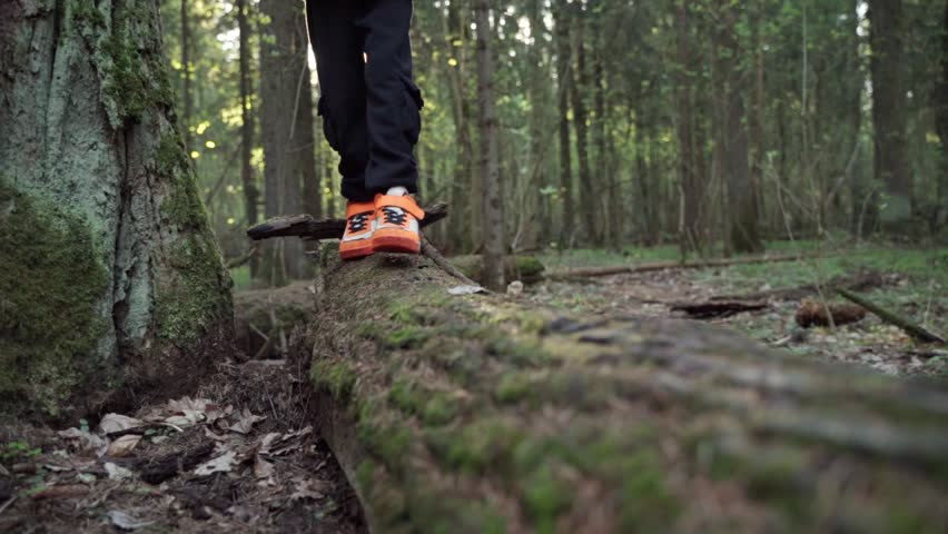 baby boy playing in the forest park. close-up child feet walking on a fallen tree log. happy family kid dream concept. a child in sneakers walks on a fallen tree in lifestyle park Royalty-Free Stock Footage #1103507309