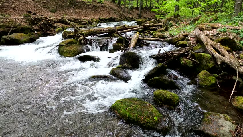 Cascading waterfall in mountain spring forest