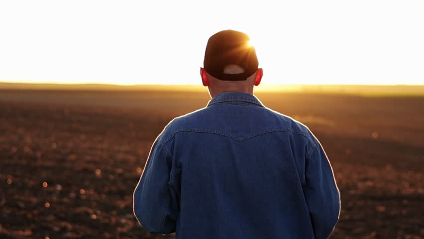 Agribusiness. Back view of male farmer walking through on cultivated plowed field at sunset in spring. Owner agricultural farm is checking and examining farmland before sowing agriculture crops Royalty-Free Stock Footage #1103523489