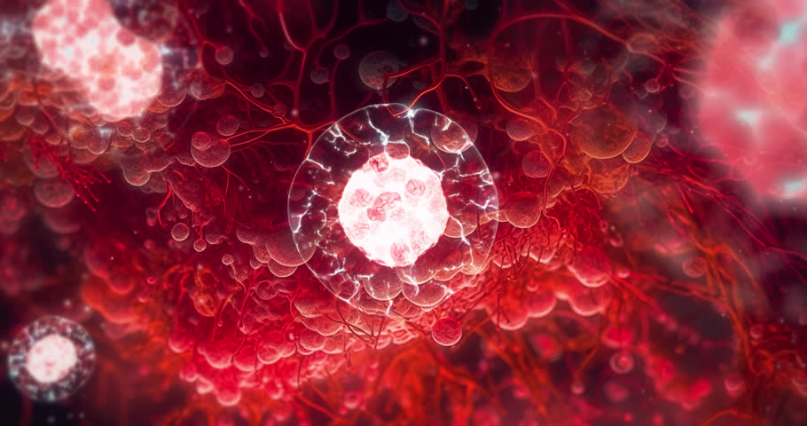 Reproductive cells multiplication. Cell division process under a microscope.