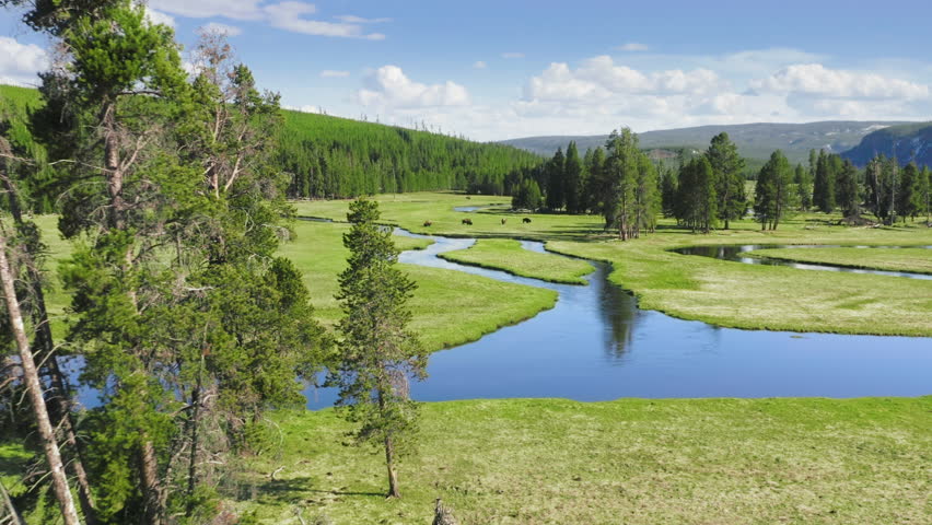 Cinematic wilderness nature with scenic curving river running by green meadow. Yellowstone National Park aerial view, flying over blue river in the American northern states at sunny summer Wyoming USA