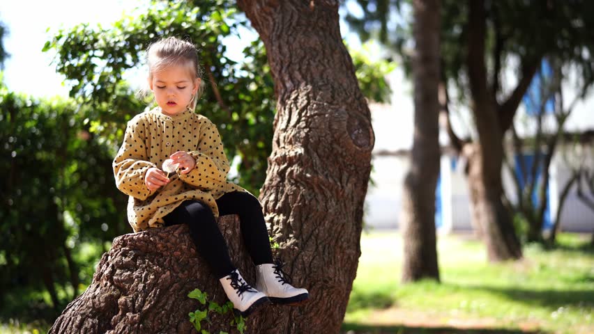 Little girl sits on a tree and removes the fluff from a dandelion, blowing it into the wind | Shutterstock HD Video #1103533297