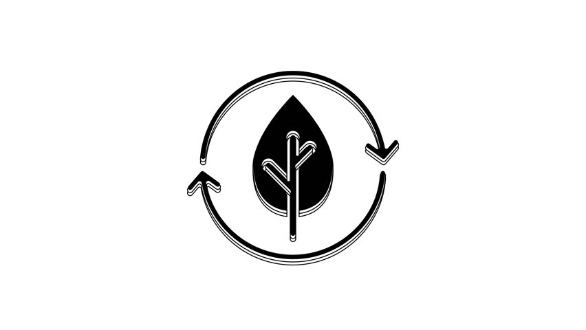 Black Recycle symbol and leaf icon isolated on white background. Environment recyclable go green. 4K Video motion graphic animation.